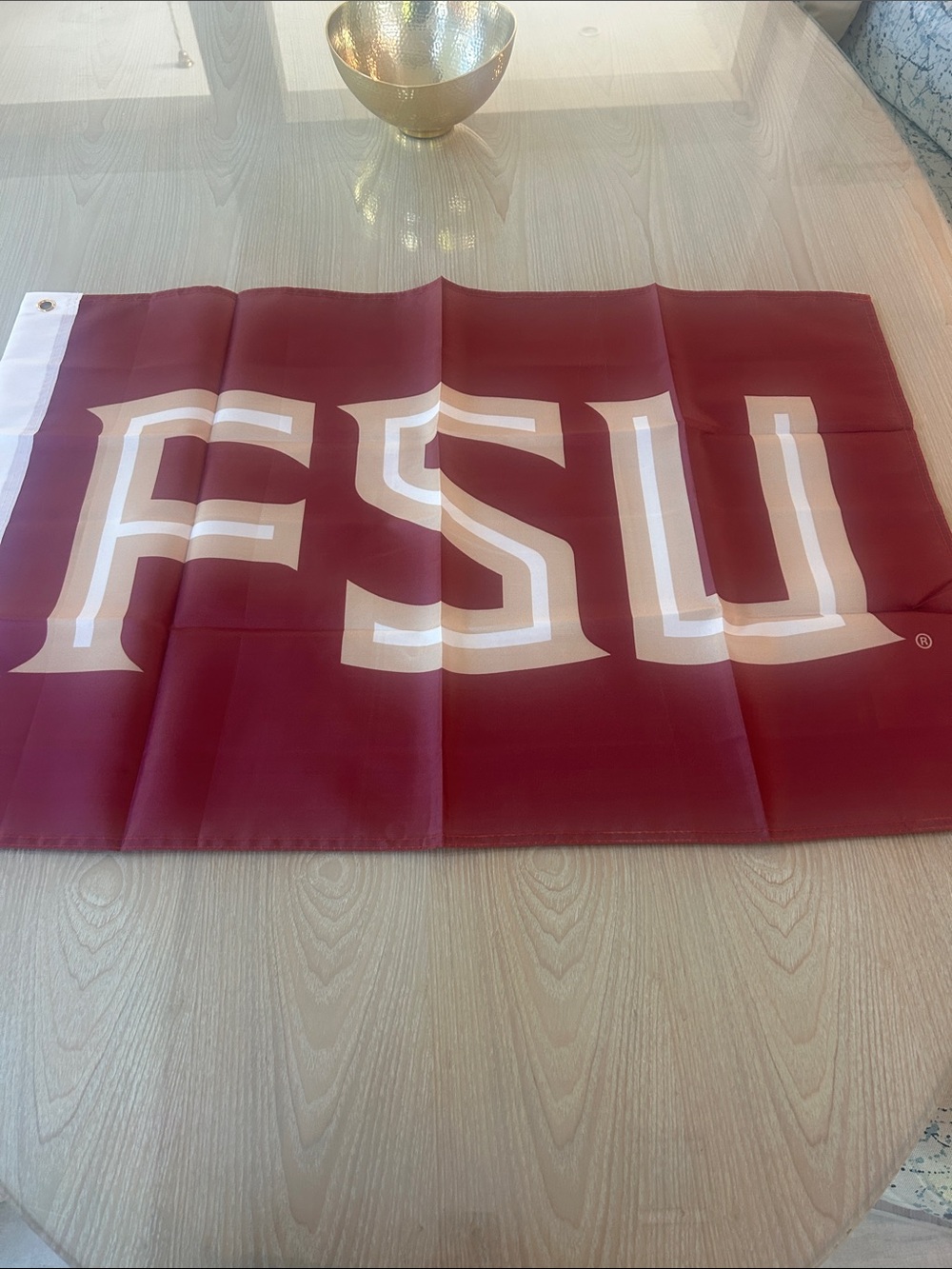 Florida State University Flag